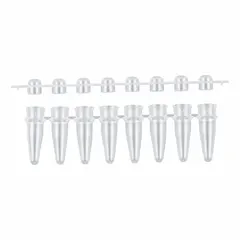 PCR Strip, 0.2 mL Polypropylene, Conical Bottom, Domed Caps, Colorless