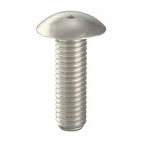 Tamper Resistant Screw: 3/8"-16 Thread Size, 1 1/4 in Lg, Stainless Steel, Plain, Truss, 10 PK (MPN 6002600)