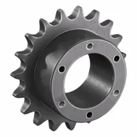 TRITAN Sprocket: For 80 Chain, 19 Teeth, 6.076 in Pitch Dia, 6.59 in Outside Dia, Steel (MPN 80SK19H)