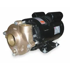 This Dayton straight centrifugal pump is designed for water circulation, transfer, and boosting in industrial and commercial systems. It handles clean, non-abrasive fluids and is suitable for HVAC, irrigation, and process applications. The pump features a 1-1/2 HP motor, 115/230V AC voltage, 67 ft maximum head, 1-1/2 in intake and 1-1/4 in discharge connections, and an open drip-proof (ODP) enclosure.