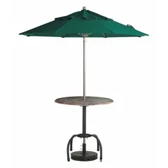 Round umbrella with a 9 ft diameter canopy in forest green. Features an aluminum pole and pull-chain opening mechanism. Overall height is 98 in. Base and lights not included. Suitable for providing shade on patios, decks, and outdoor dining areas.