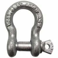 This anchor shackle is constructed from alloy steel with a silver finish. It has a working load limit of 2,500 lb and is designed for lifting and rigging applications where a high-strength connection point is required. Typical uses include hoisting, towing, and securing loads in industrial, construction, and marine environments