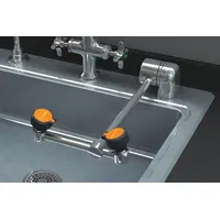 This counter-mount eyewash station provides emergency eye irrigation. It features swing-down activation and a center-mount location. Constructed with chrome-plated brass pipe, it delivers eyes coverage only. Suitable for use in laboratories, factories, and chemical handling areas