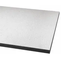 ARMSTRONG Ceiling Tile: 605C, Ceramaguard, 24 in x 48 in, Square Lay-In, 15/16 in Grid Size, 6 PK