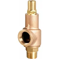 AQUATROL Safety Relief Valve: MNPT x FNPT, 2 in x 2 1/2 in, Bronze, 264 psi Max. Op Pressure (MPN 89F2A1M2K1-200)