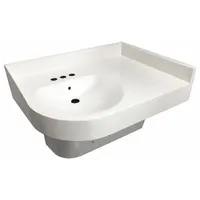 This wall-mounted institutional bathroom sink features a D-shaped bowl with 15 1/2-inch length and 4-inch depth. The white finish and ADA-compliant design make it suitable for commercial restrooms requiring accessible fixtures. Typical applications include healthcare facilities, schools, and public buildings