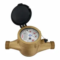 DWYER Water Meter: Flow Meter, Water, Electromagnetic, Brass, 1/2 in NPT, 1/2 in Connection Size (MPN WNT-A-C-01)