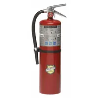 BUCKEYE Fire Extinguisher: 10 lb Extinguisher Capacity, 4A:80B:C, Monoammonium Phosphate (MPN 11340)