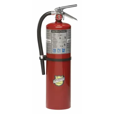 BUCKEYE Fire Extinguisher: 10 lb Extinguisher Capacity, 4A:80B:C - Class ABC Fire Extinguishers