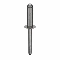 Domed-head blind rivet with 0.249-inch diameter and 2 12/71-inch overall length. Body length is 27/32 inch; overall length is 2 11/64 inch. Pack of 100. Suitable for fastening materials where only one side is accessible, common in sheet metal and general fabrication