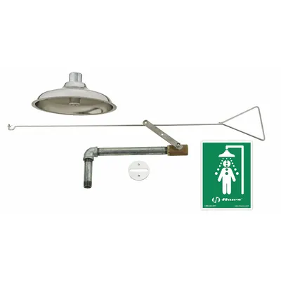 HAWS 8169 Recessed Ceiling-Mount Emergency Shower - Recessed Ceiling-Mount Showers