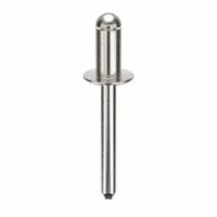 Inch-series domed-head blind rivet with 0.249" diameter, 15/32" body length, and 1 51/64" overall length. Suitable for single-sided fastening of sheet metal, plastics, and composite materials where rear access is limited. Supplied in a 100-piece pack