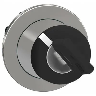 SCHNEIDER Keyed Selector Switch: 2 Position, 30 mm Panel Mounting Size - Panel-Mounted Key Switches without Contacts