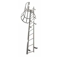 COTTERMAN Fixed Ladder with Safety Cage: 29 ft Overall Ht, 26 in Overall Wd, Steel, 30 Rungs (MPN M30SC L9 C1)