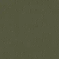 BRUNSWICK BILLIARDS Pool Table Replacement Cloth: Olive, 9 ft, 4 in Overall Wd, 62 in Overall Ht (MPN CLOTH-CENT-OLIVEX-9)