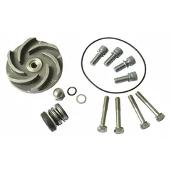 This seal kit and gasket set includes a Viton gasket and O-ring for straight centrifugal pumps. It is compatible with Dayton pump model 2ZWT9. Used to replace worn seals in fluid-handling applications.