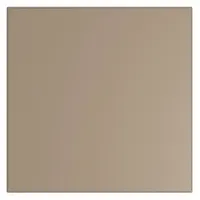 Steel panel for bathroom partitions with a smooth semi-gloss finish in dark khaki. Measures 58 inches high by 58 inches wide by 1 inch thick. Features a honeycomb inner core for structural integrity. Suitable for use in commercial restrooms and other high-traffic areas requiring privacy and easy maintenance