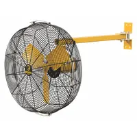 BIG ASS FANS Mounted Fan: 24 in Blade Dia, 120V AC, 1/3 hp Motor HP, Post Mount, Non-Oscillating (MPN F-AE1-2401L12S34)