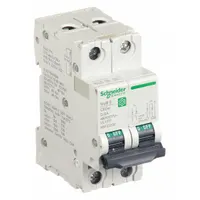 SCHNEIDER IEC Supplementary Protector: 6 A Amps, 14kA at 240V AC, Screw Clamp, C60SP, D (MPN M9F23206)