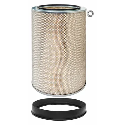 BALDWIN FILTERS PA2573 Round/Oval Engine Air Filter - Round/Oval Engine Air Filters