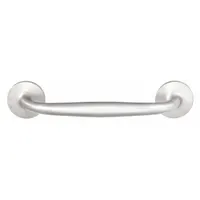 Fixed, non-recessed pull handle made of aluminum with a dull anodized silver finish. Features threaded holes for mounting with 1/4"-20 screws and a grip thickness of 0.75 in. Suitable for use on cabinets, enclosures, and machinery doors