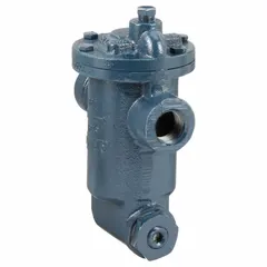 Cast iron inverted-bucket steam trap with 3/4 in FNPT connection, rated for 1,000 lb/hr capacity at 30 psi maximum pressure. In-line configuration for horizontal installation; includes built-in strainer. Used to automatically drain condensate from steam lines while preventing steam loss.