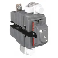 Miniature Circuit Breaker: 100 A Amps, 120/240V AC, 1.5 in Wd, 10kA at 120/240V AC, 2 Poles (MPN UBIP2100)