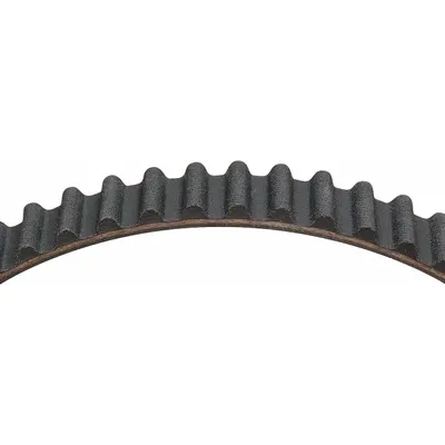 DAYCO 95191 Timing Belt - Vehicle Timing Belts