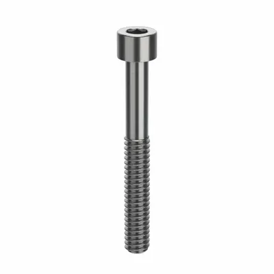 FOREVERBOLT Socket Head Cap Screw: 1/4"-20 Thread Size, 2 in Lg, Std, NL-19, Stainless Steel - Inch System Standard Socket Head Cap Screws