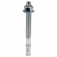 RED HEAD Wedge Anchor: 7 in Overall Lg, 5/8 in Dia, 5/8"-11 Thread Size, 5 1/4 in Thread Lg, 10 PK (MPN WW-5870)