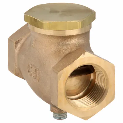 CONTROL DEVICES Check Valve: Air, Brass, 1 in NPT, 1 in (F)NPT - Pneumatics