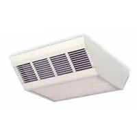 DAYTON Surface-Mount Electric Ceiling Heater: Fan Forced, 2500W/3800W/5000W Watt Output, White