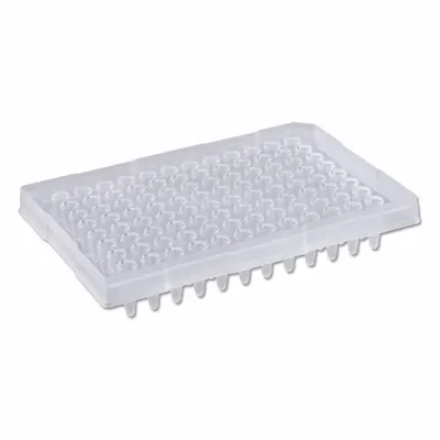 MTC BIO 96-Well PCR Plate, 0.2 mL, Round, Colorless, RNase/DNase Free, P9602-SRR - PCR Plates