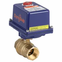 DYNAQUIP CONTROLS Electrically Actuated Two-Way Ball Valve: 1 1/4 in, Brass, 120V AC, FNPT x FNPT (MPN 189026B.1)