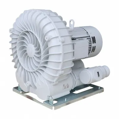 SCHMALZ SB Series Vacuum Blower, 610 m³/h, 100 mm, 4 in G Female, 10.04.01.00101 - Schmalz SB Series Vacuum Blowers
