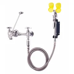 Wall-mount eyewash station with no-bowl design and squeeze handle activation. Features a 1/2 in NPT female inlet. Suitable for emergency eye irrigation in industrial environments where quick flushing of contaminants is required.