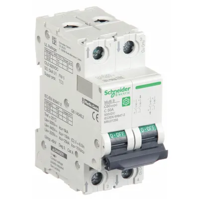 SCHNEIDER Supplementary Protector: 50 A Amps, 500V DC, 5kA at 250V DC, Screw Clamp - DC-Only Rated, 2-Pole UL1077 DIN Rail-Mount Supplementary Protectors