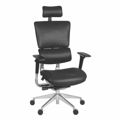 REGENCY Office Chair: Omega, Black, 21 in Back Ht, 20 1/2 in Seat Wd, 21 in Seat Dp - Fixed-Arm Office Chairs