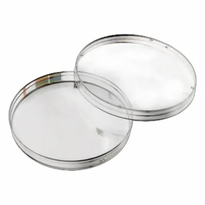 CELLTREAT Petri Dish: 100 mm Dia, 10 mm Overall Ht, Tissue Culture Treated, Polystyrene - Petri Dishes