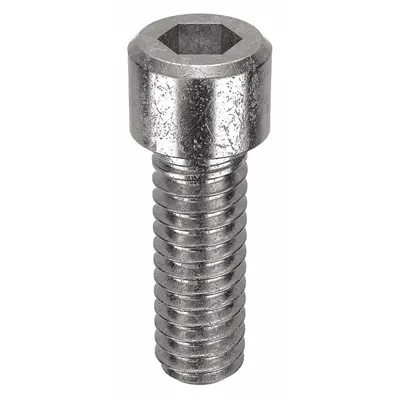FOREVERBOLT Socket Head Cap Screw: 1/4"-20 Thread Size, 3/4 in Lg, Std, NL-19, Stainless Steel - Inch System Standard Socket Head Cap Screws