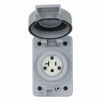 Plugs and Receptacles: Single, 5-20R, Gray, 125V AC, 20 A, 2 Pole / 3 Wire (MPN LNR96-3)