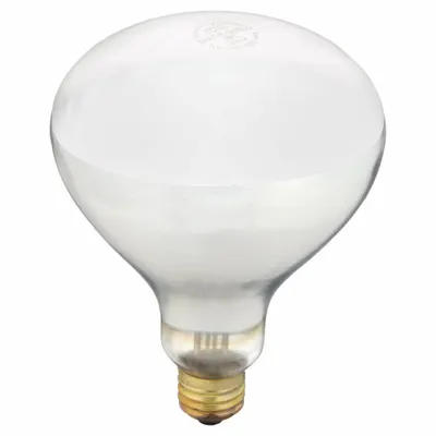 SHAT-R-SHIELD Incandescent Bulb: Incandescent, R40, Medium Screw (E26), 250 W Watt, 2700K - Reflector Heat Lamps