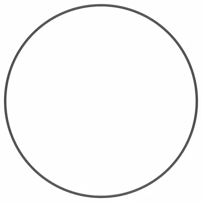 CHARLOTTE PIPE AND FOUNDRY Viton® O-Ring - Viton® O-Rings