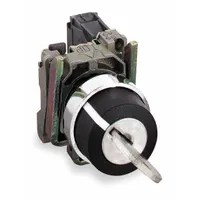 SCHNEIDER ELECTRIC Selector Switch: 2 Position, 22 mm Panel Mounting Size, 1NO, Series XB4 (MPN XB4BG61)