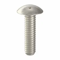 Tamper Resistant Screw: 1/4"-20 Thread Size, 1 in Lg, Stainless Steel, Plain, Truss, Spanner, 10 PK (MPN 6001800)