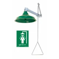Wall-mount emergency shower with plastic sprayhead, galvanized steel pipe, and green finish. Activated by pull rod; connects via 1 in NPT female inlet. Used for immediate drenching to flush contaminants from skin and eyes in industrial facilities