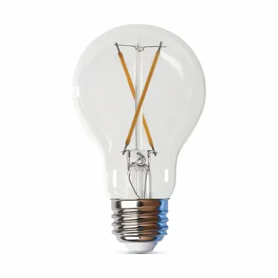 FEIT ELECTRIC Compact LED Bulb: Medium Screw (E26), LED, (A) Classic, A19, 5 W Watt, 2700K - Medium Screw Base (E26) Lamps