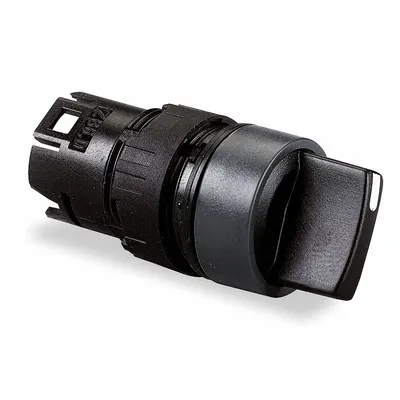 SCHNEIDER Short-Handled Selector Switch: 16 mm Panel Mount Size, 2 Positions - Selector-Switch Operators