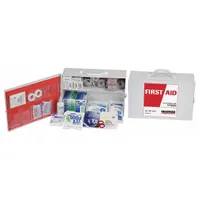 Wall-mountable metal first aid kit with white housing, serving 100 people with 369 components. Includes 200 adhesive bandages, one triangular bandage, 10 sting relief wipes, and 10 ammonia inhalants. OSHA compliant for industrial environments