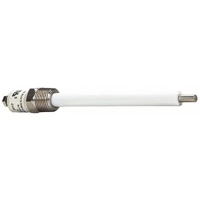 GROEN Water Level Probe Assembly: Z070178 - Replacement Parts for Steamers